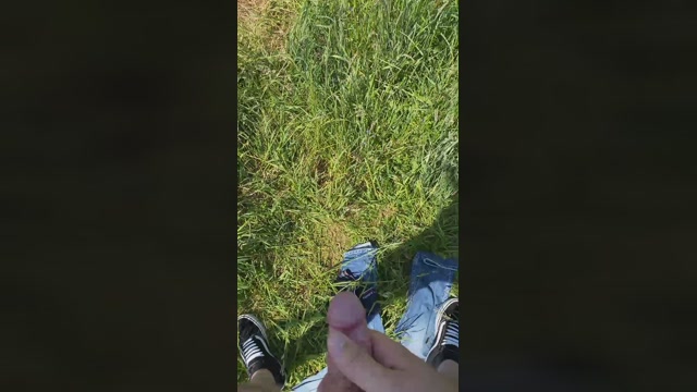 84255